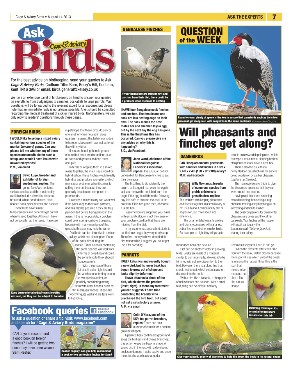 Cage & Aviary Birds Preview Pages