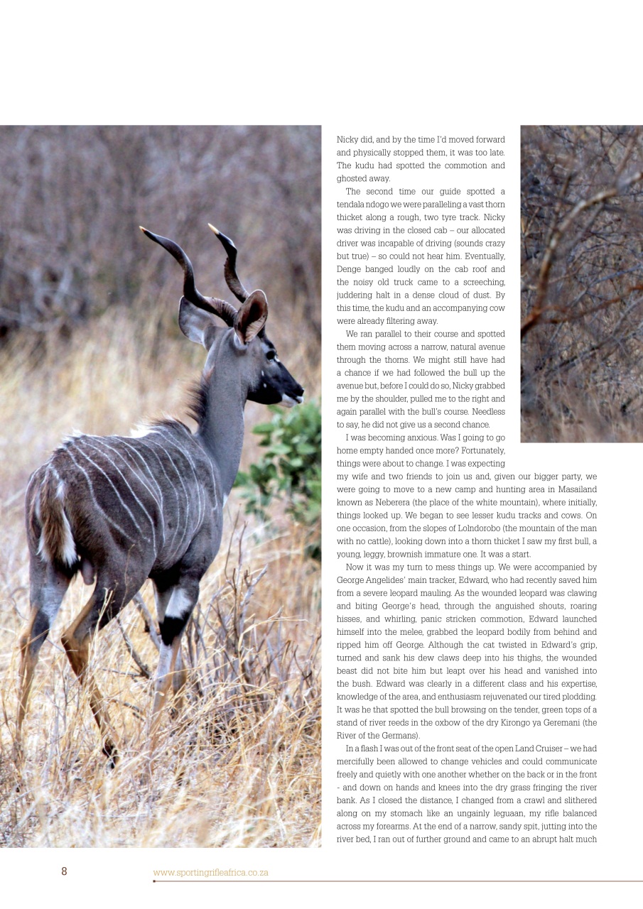 Sporting Rifle Preview Pages
