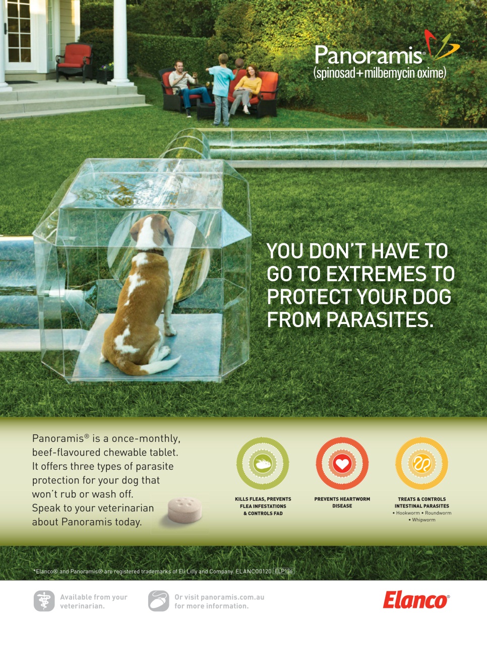 Dogs Life Preview Pages