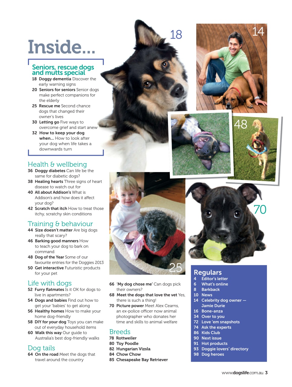 Dogs Life Preview Pages