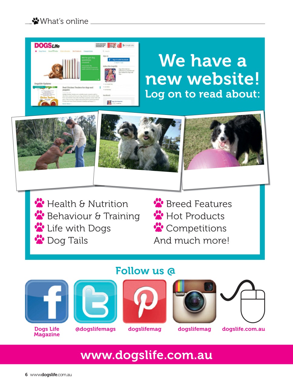 Dogs Life Preview Pages