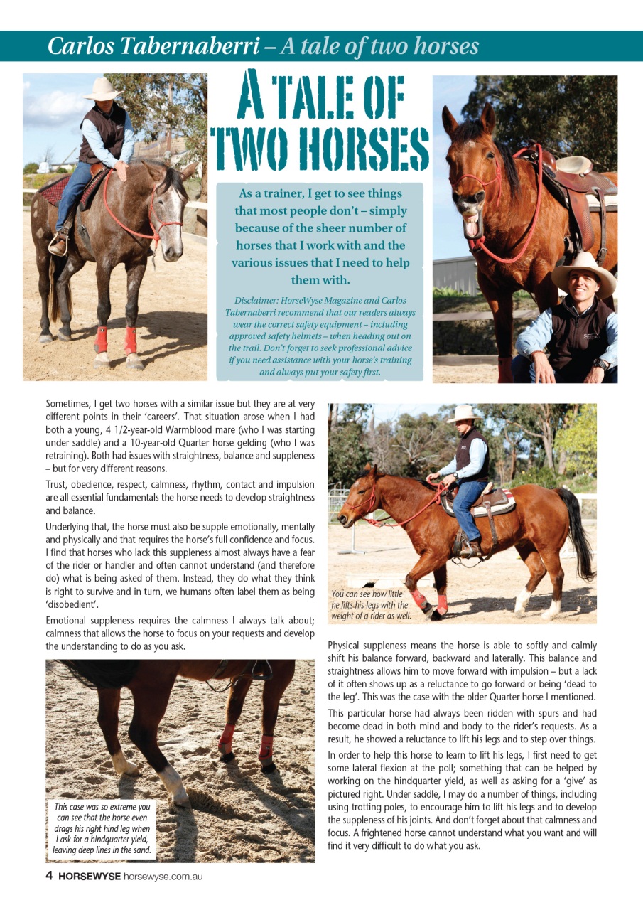 HorseWyse Magazine Preview Pages