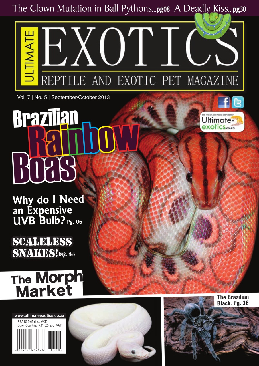 Ultimate Exotics Preview Pages