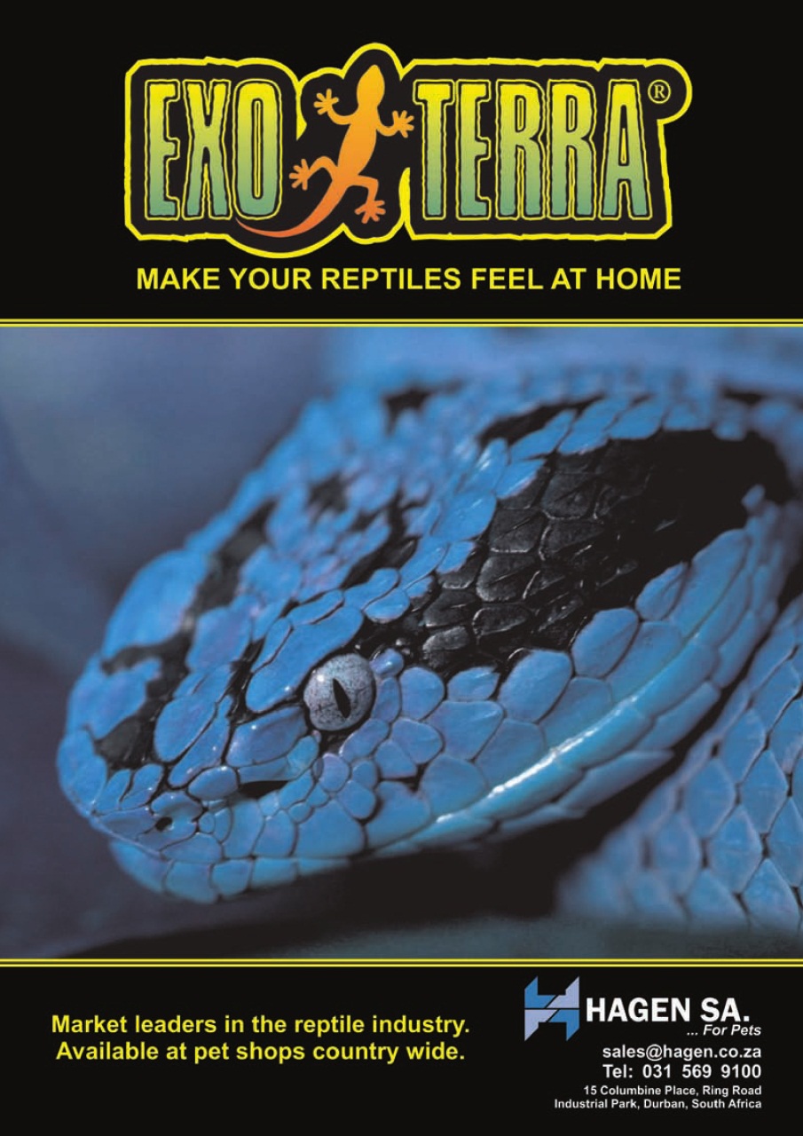 Ultimate Exotics Preview Pages