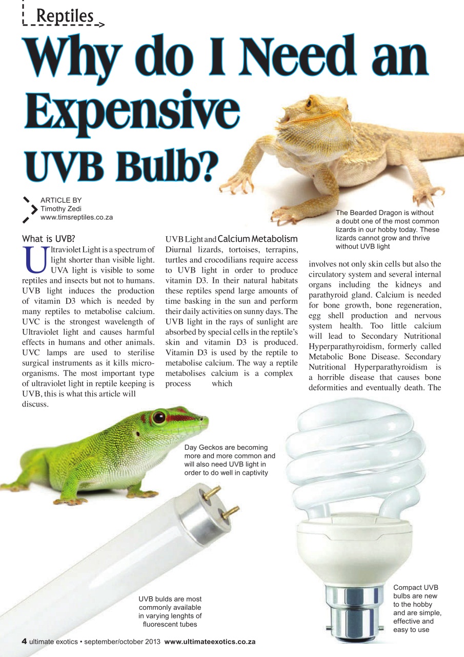 Ultimate Exotics Preview Pages