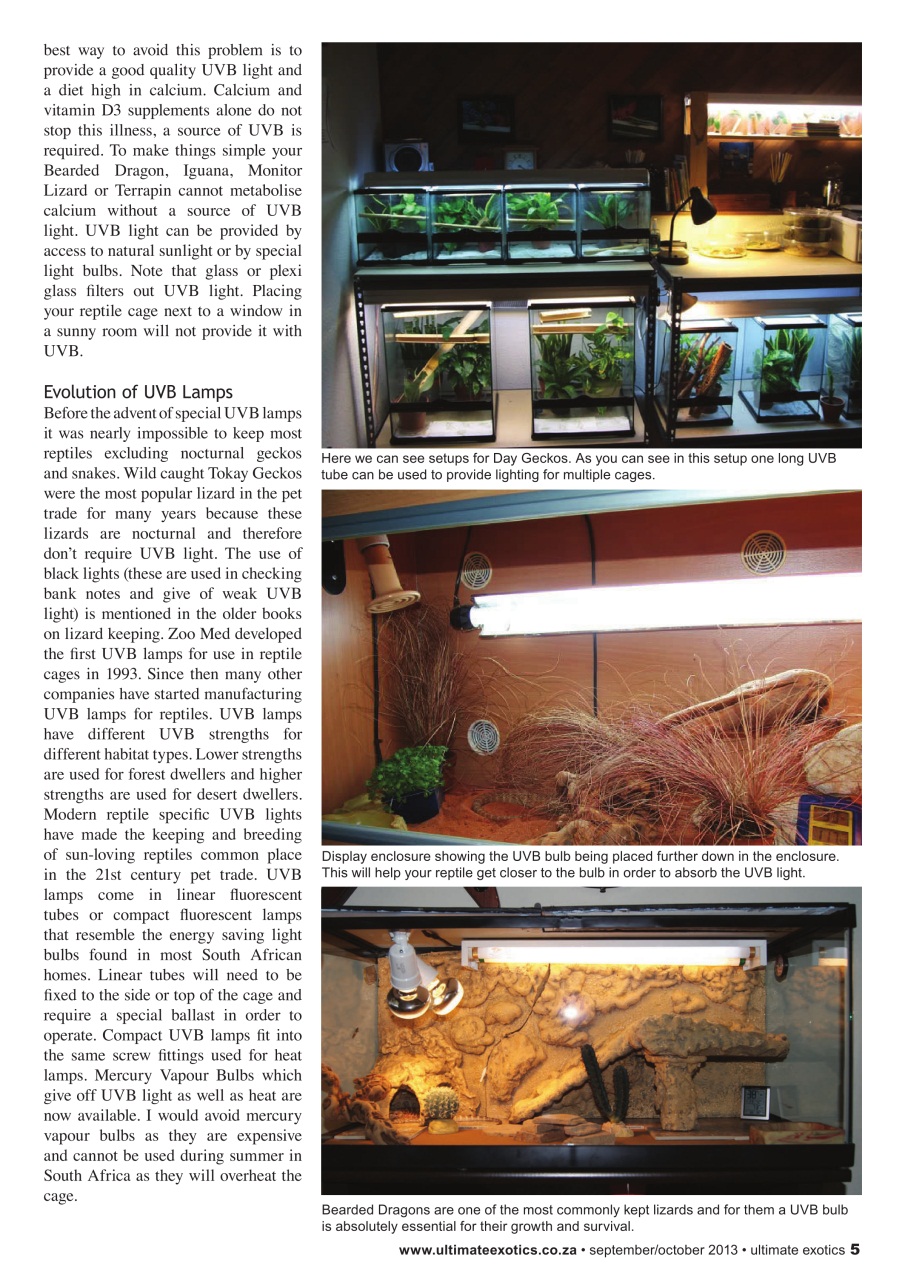 Ultimate Exotics Preview Pages