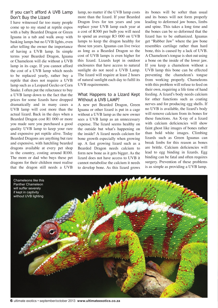 Ultimate Exotics Preview Pages