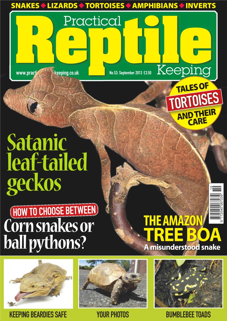 Practical Reptile Keeping Preview Pages