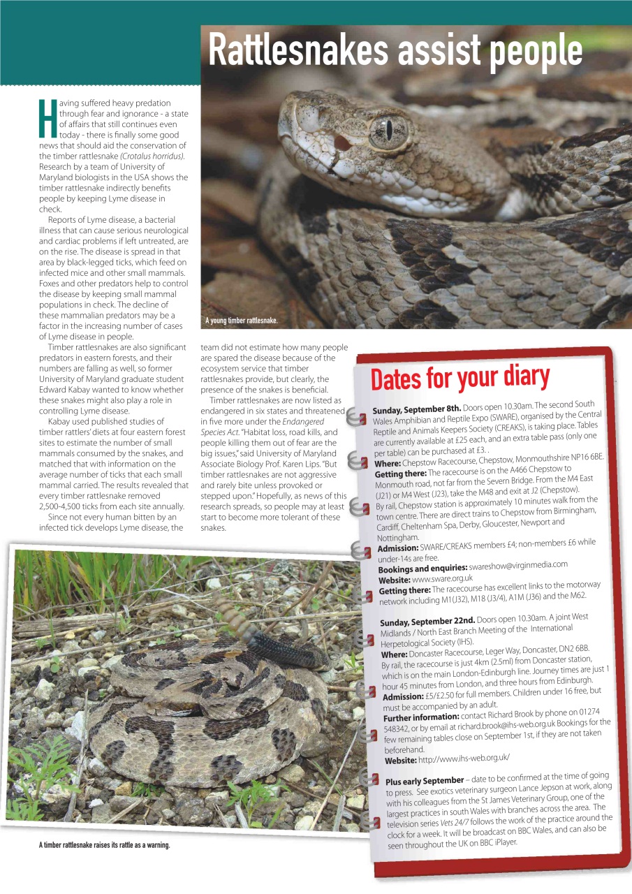 Practical Reptile Keeping Preview Pages