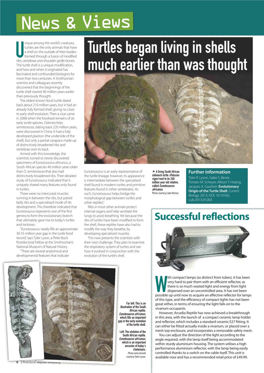 Practical Reptile Keeping Preview Pages