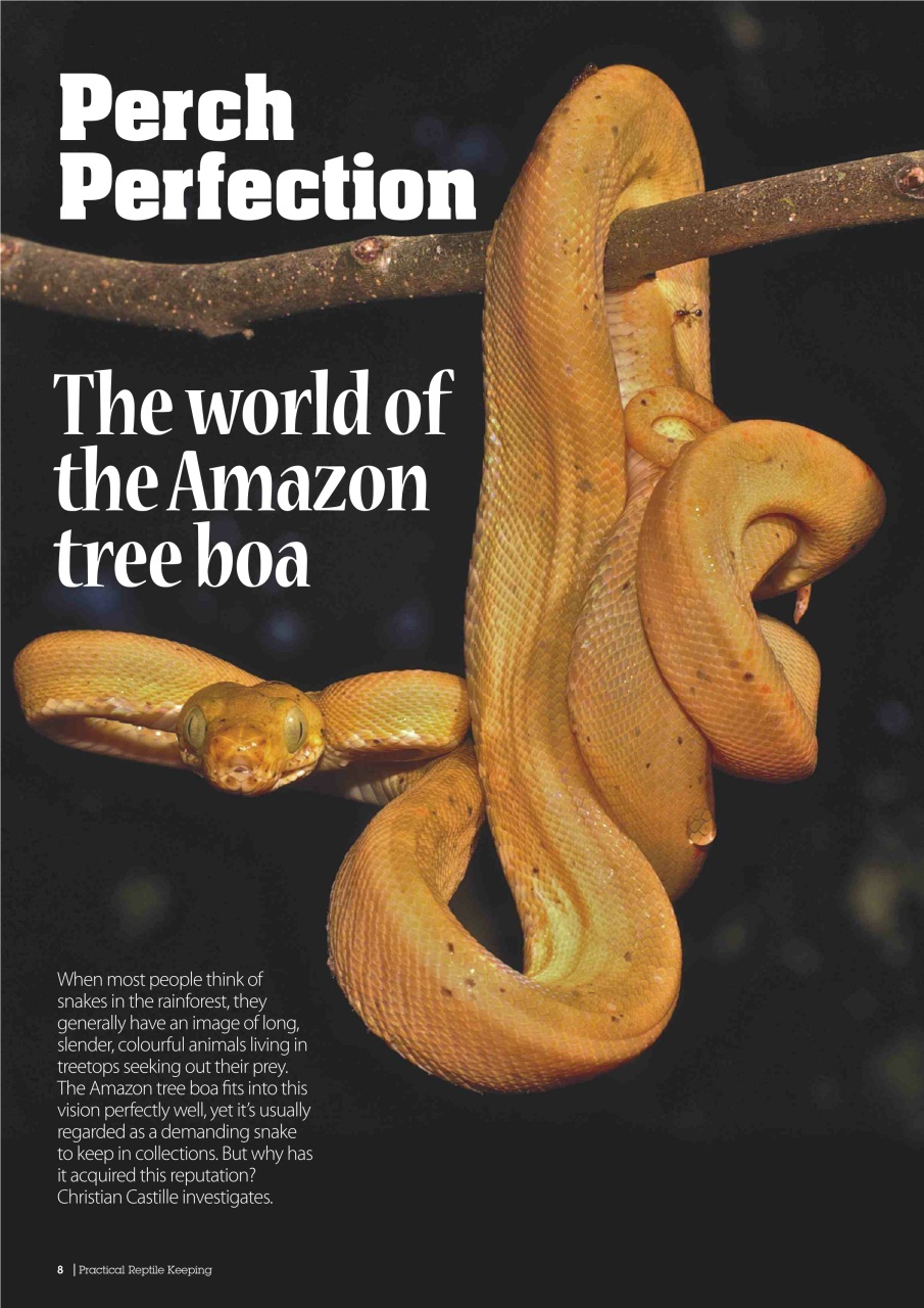 Practical Reptile Keeping Preview Pages