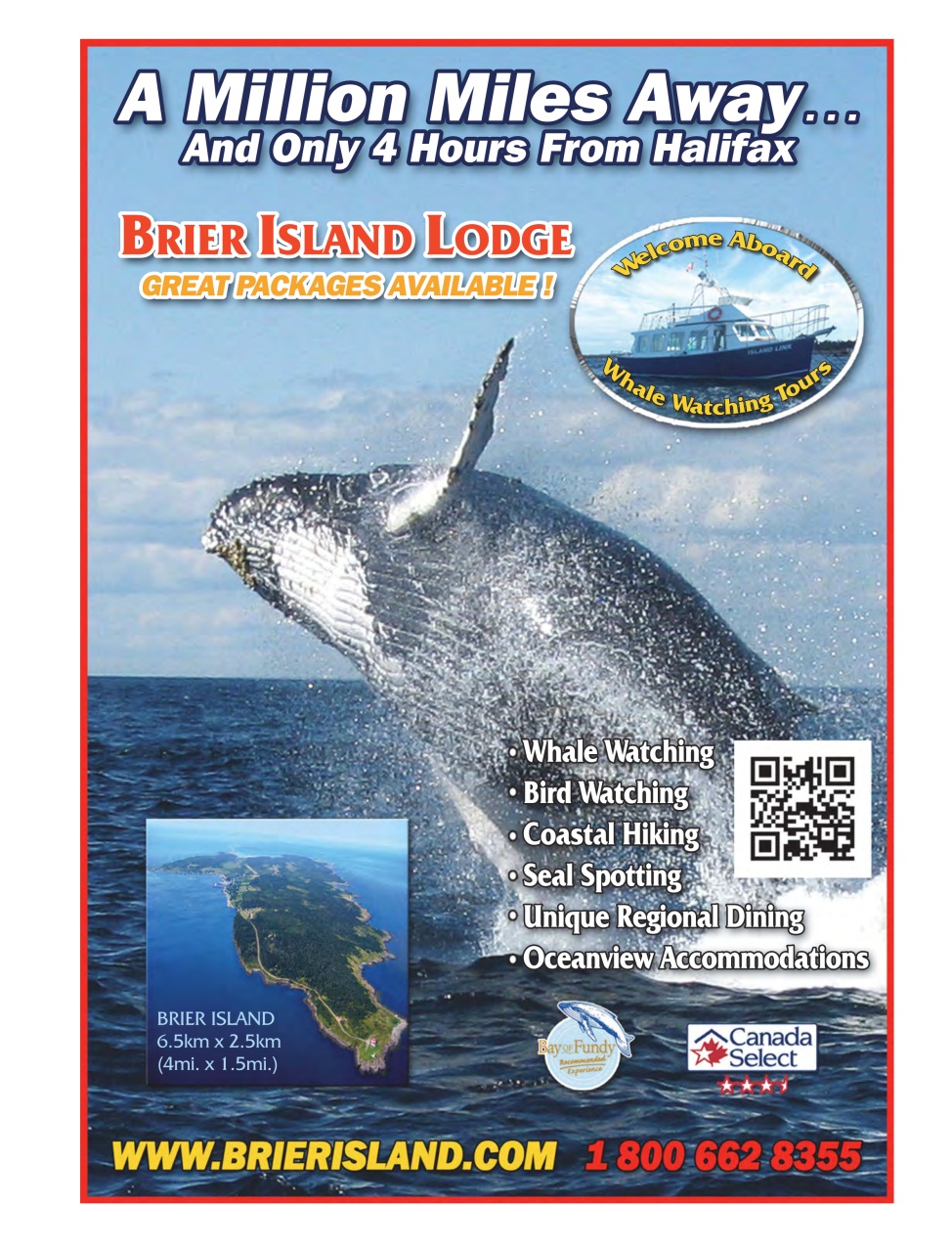 Halifax Magazine Preview Pages