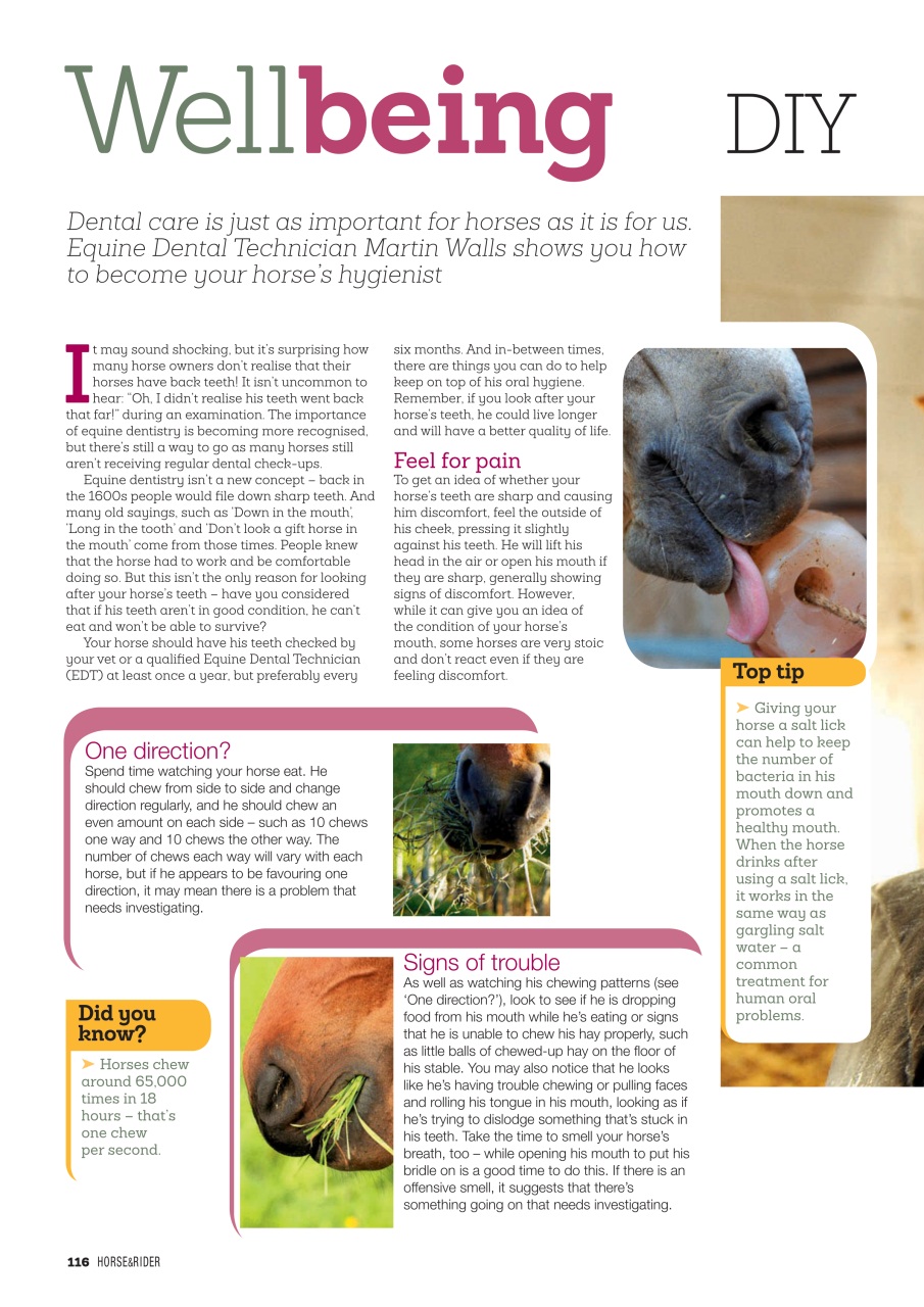 Horse&Rider Magazine - UK equestrian magazine for Horse and Rider Preview Pages