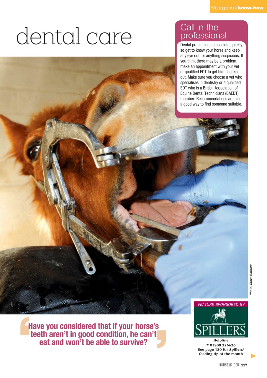 Horse&Rider Magazine - UK equestrian magazine for Horse and Rider Preview Pages