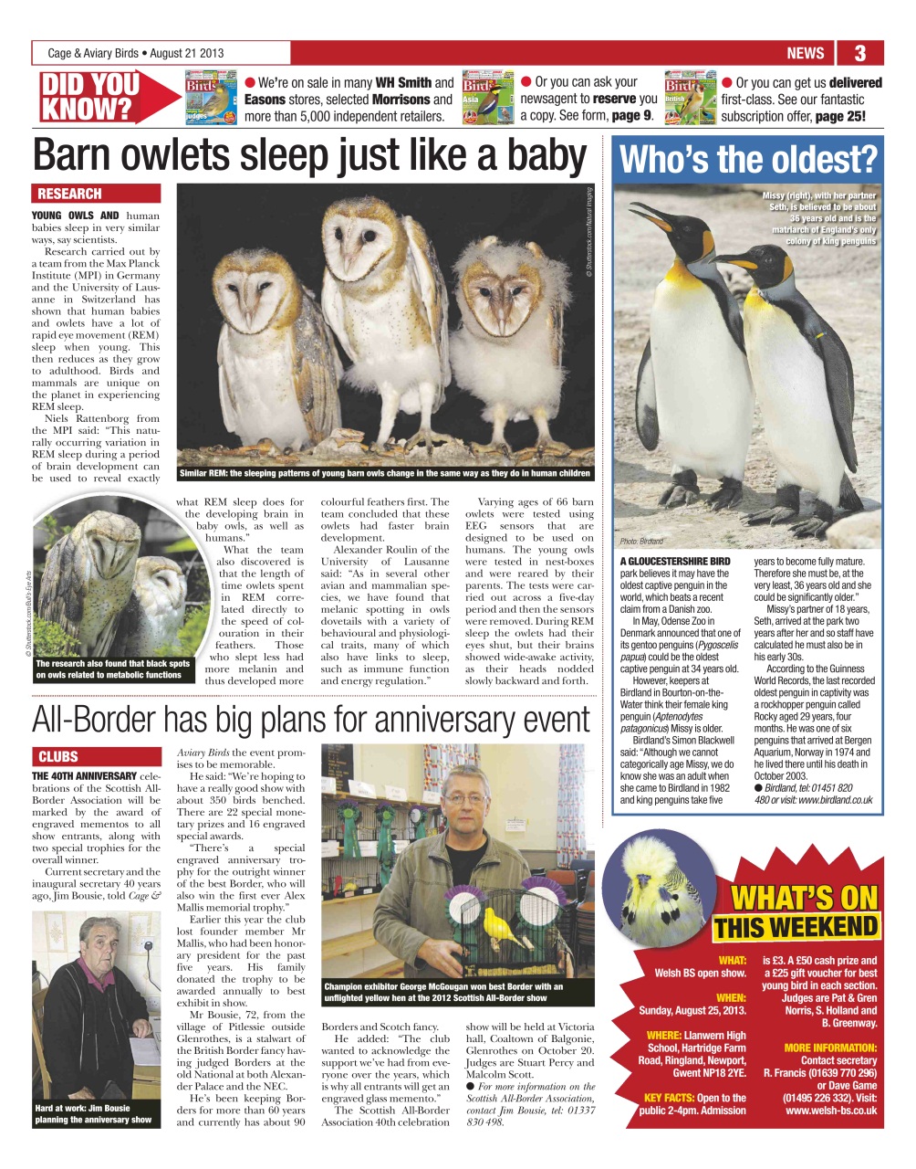 Cage & Aviary Birds Preview Pages