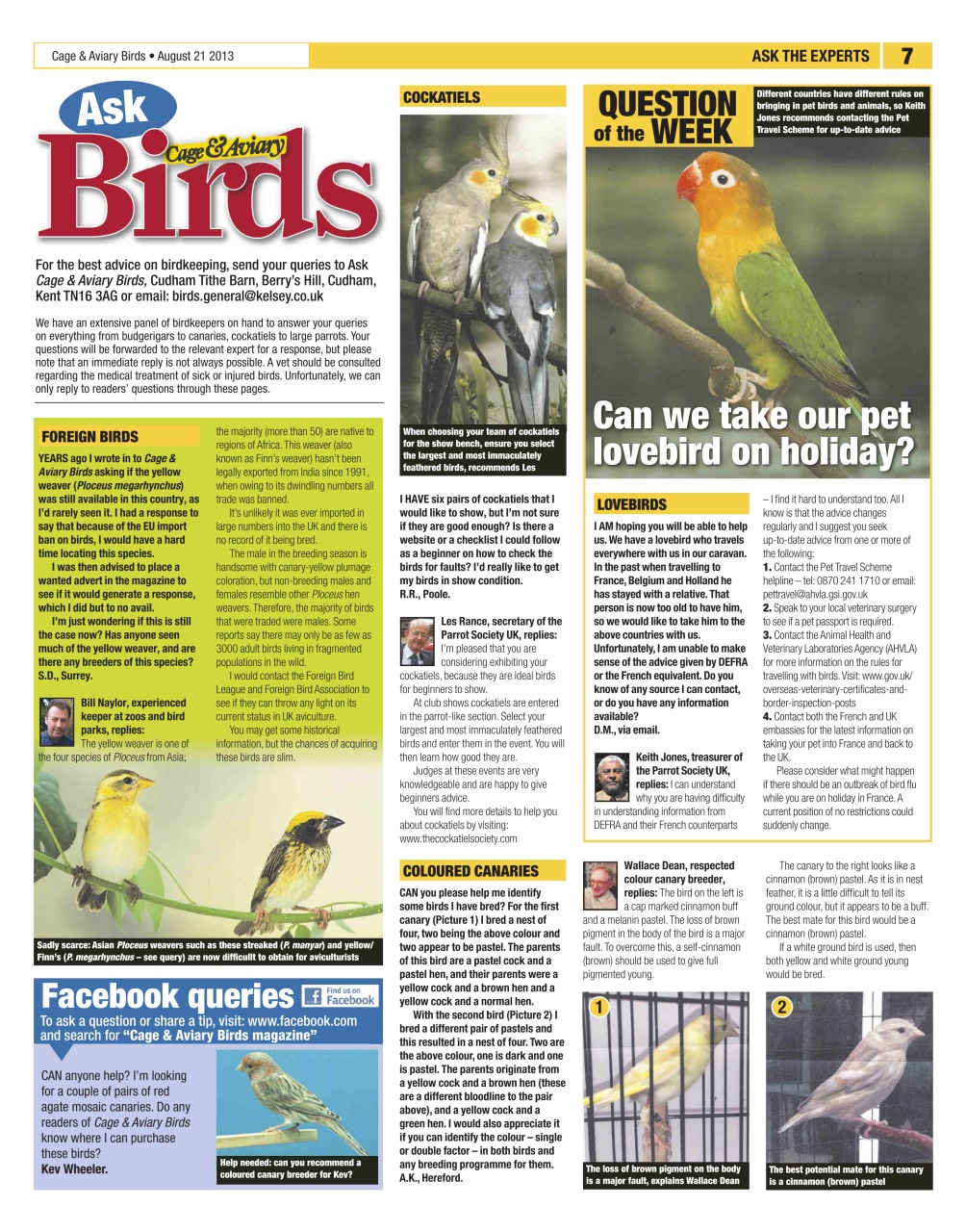 Cage & Aviary Birds Preview Pages