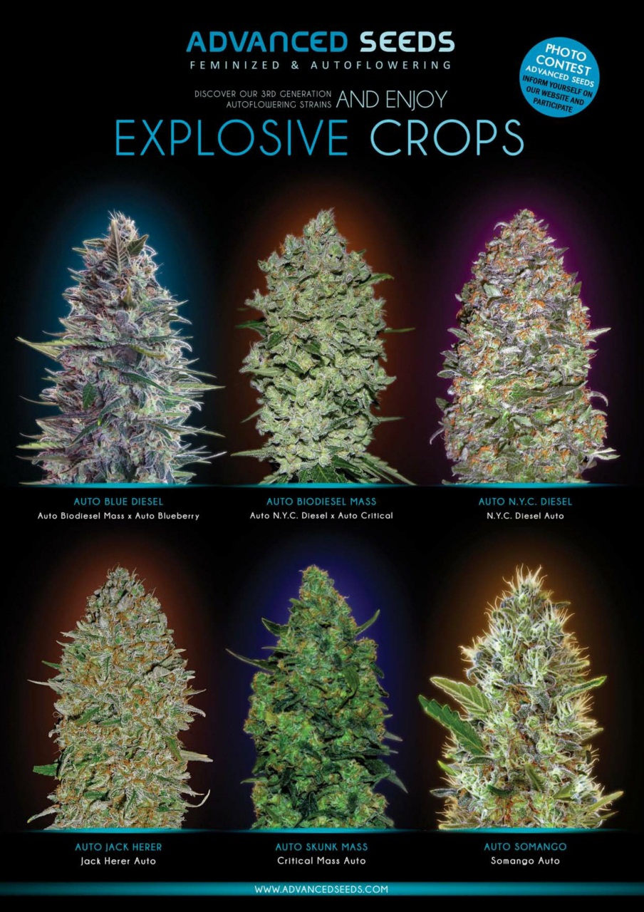 Weed World Preview Pages