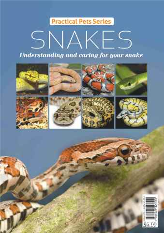 Practical Reptile Keeping issue Practical Pets Series: Snakes