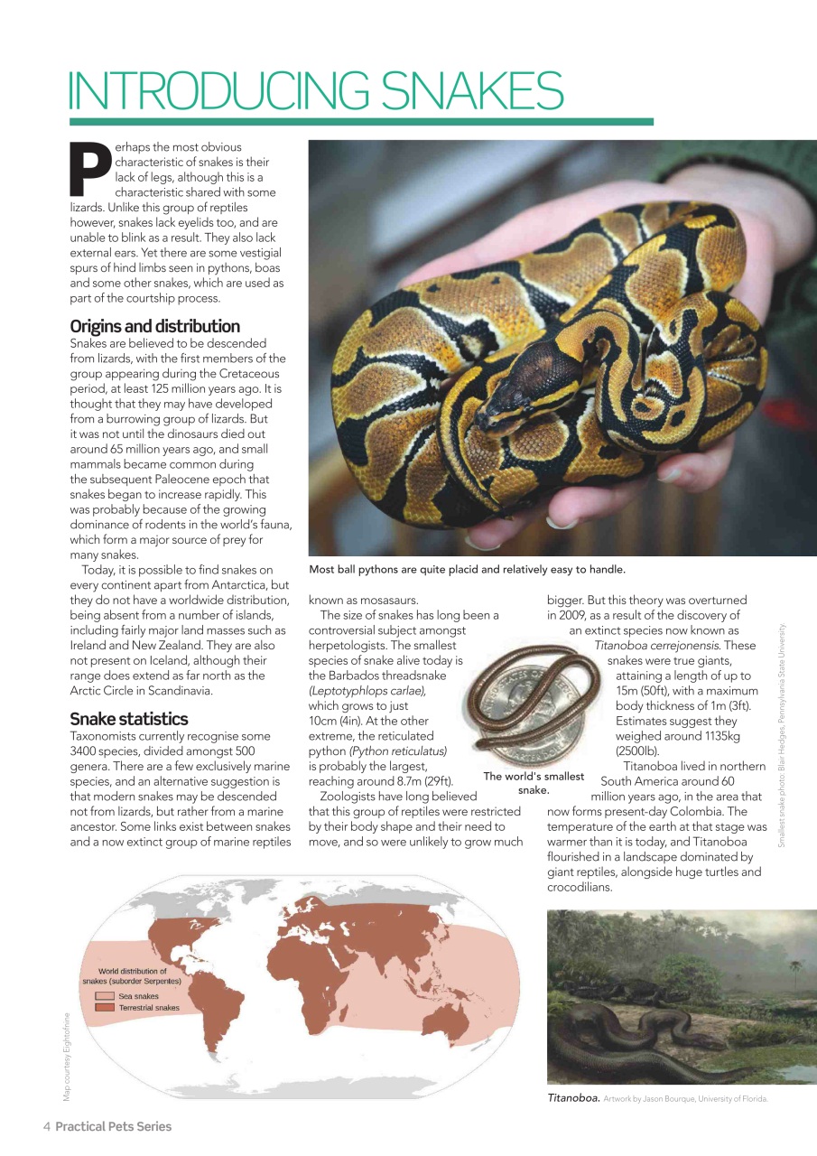 Practical Reptile Keeping Preview Pages