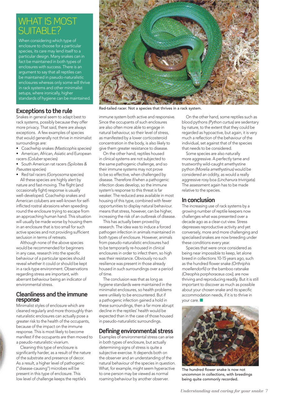 Practical Reptile Keeping Preview Pages