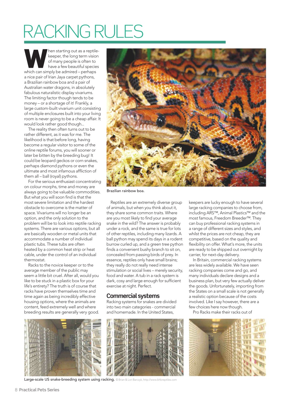Practical Reptile Keeping Preview Pages