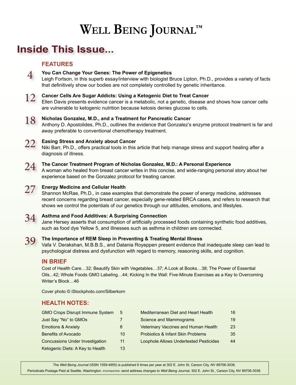 Well Being Journal Preview Pages