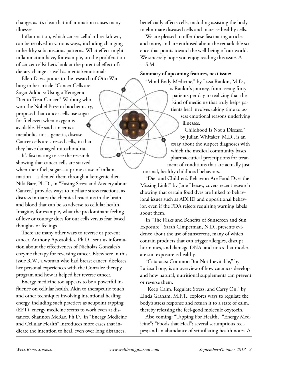 Well Being Journal Preview Pages