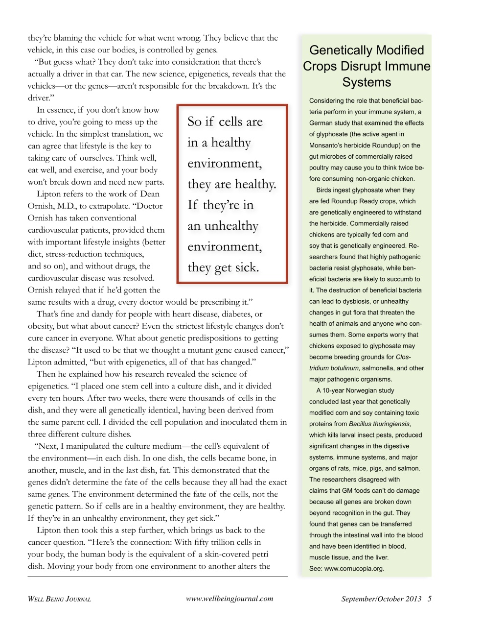 Well Being Journal Preview Pages