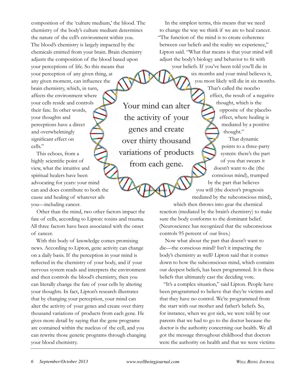 Well Being Journal Preview Pages