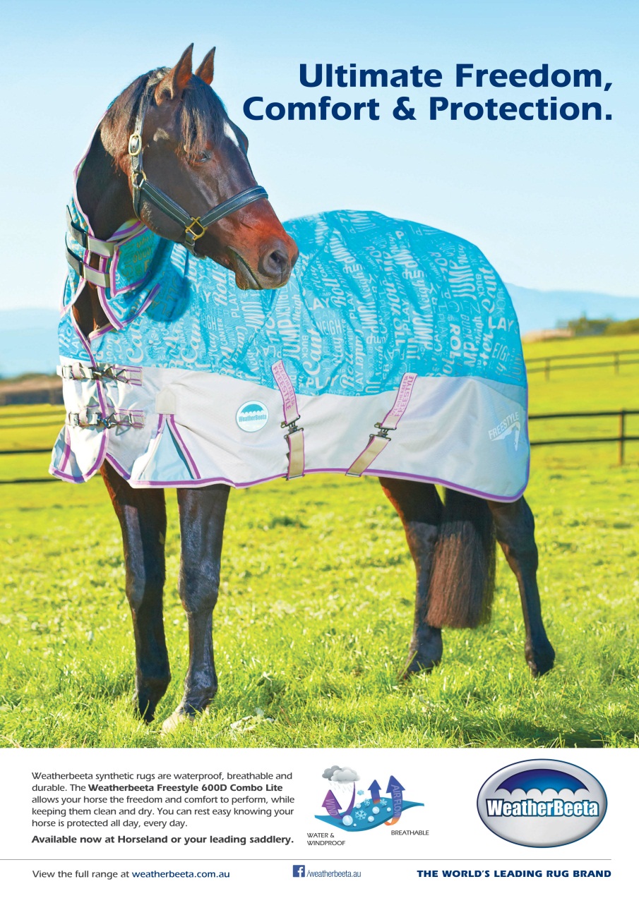 The Horse Magazine Preview Pages