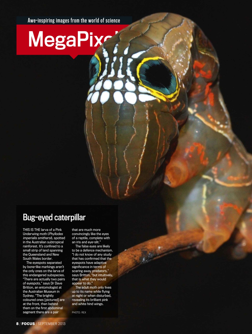 BBC Science Focus Magazine Preview Pages