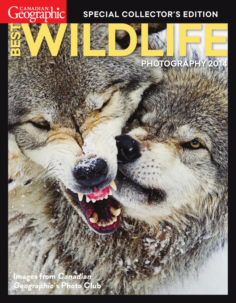 Canadian Geographic Preview Pages