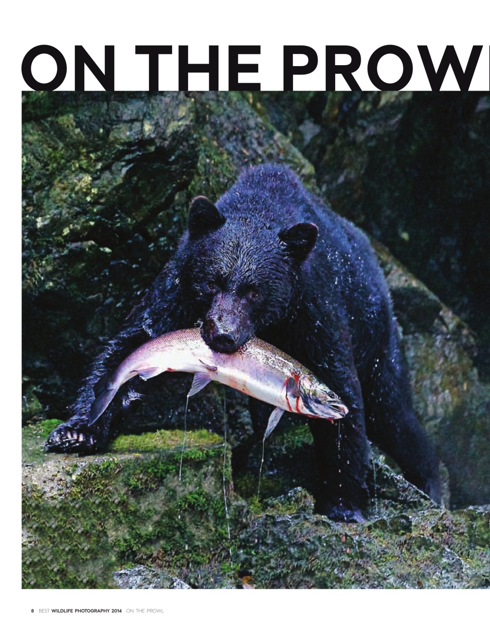 Canadian Geographic Preview Pages