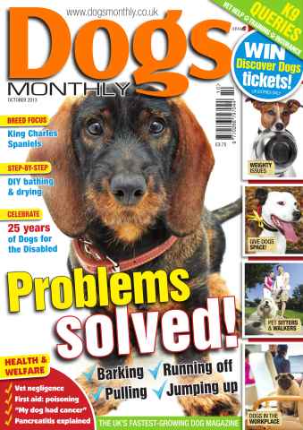 Dogs Monthly issue Dogs Monthly October 2013
