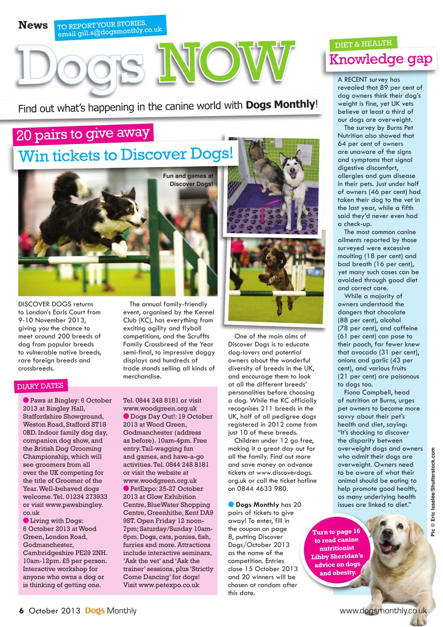 Dogs Monthly Preview Pages