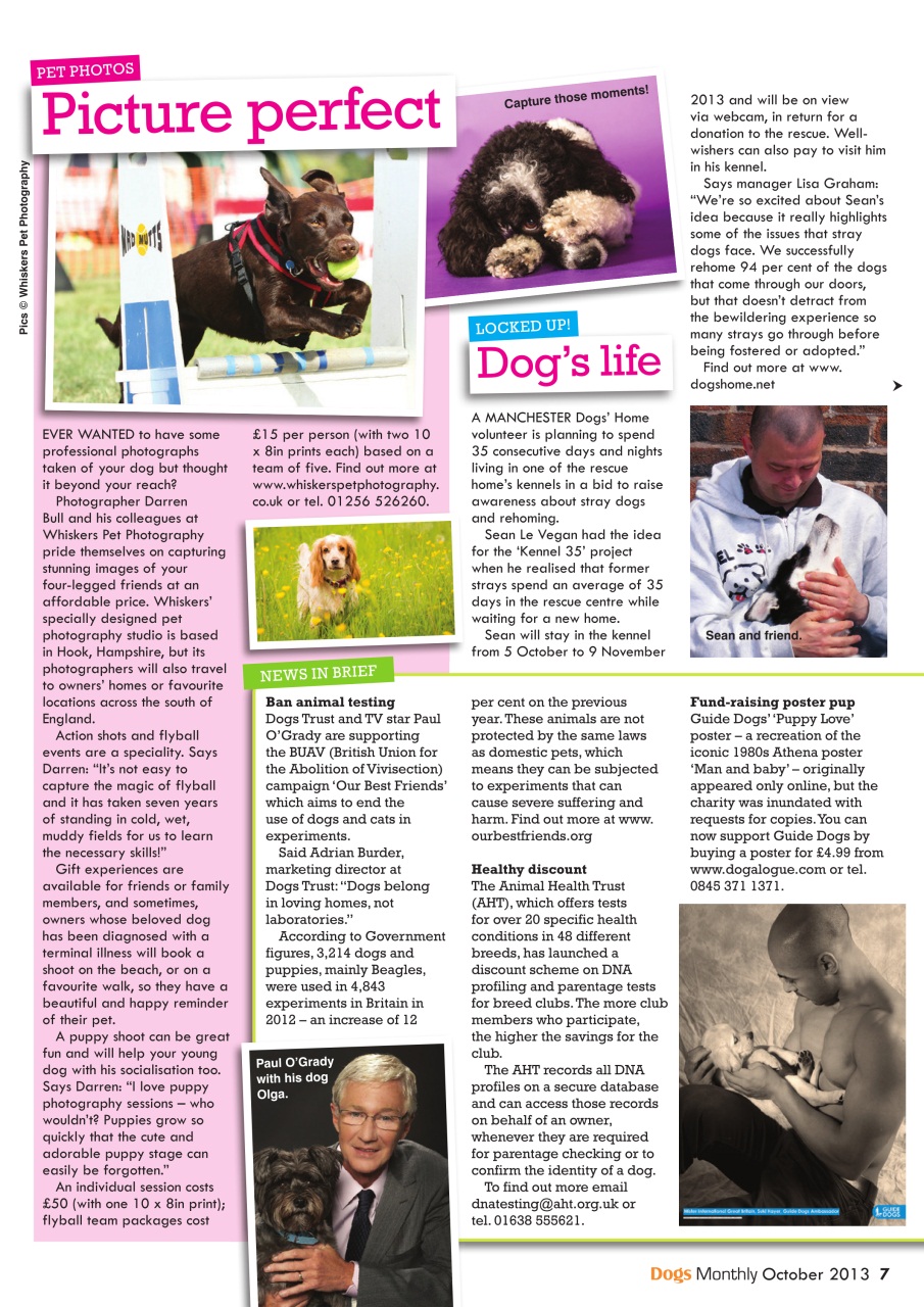 Dogs Monthly Preview Pages
