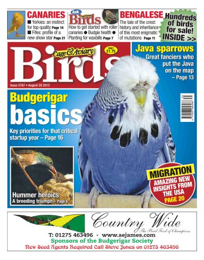 Cage & Aviary Birds issue 