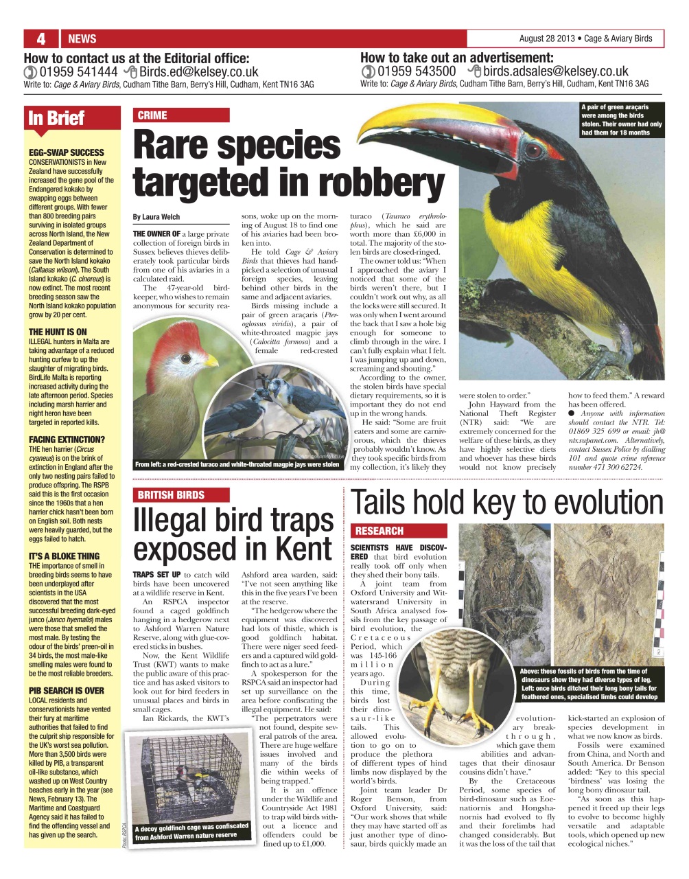 Cage & Aviary Birds Preview Pages