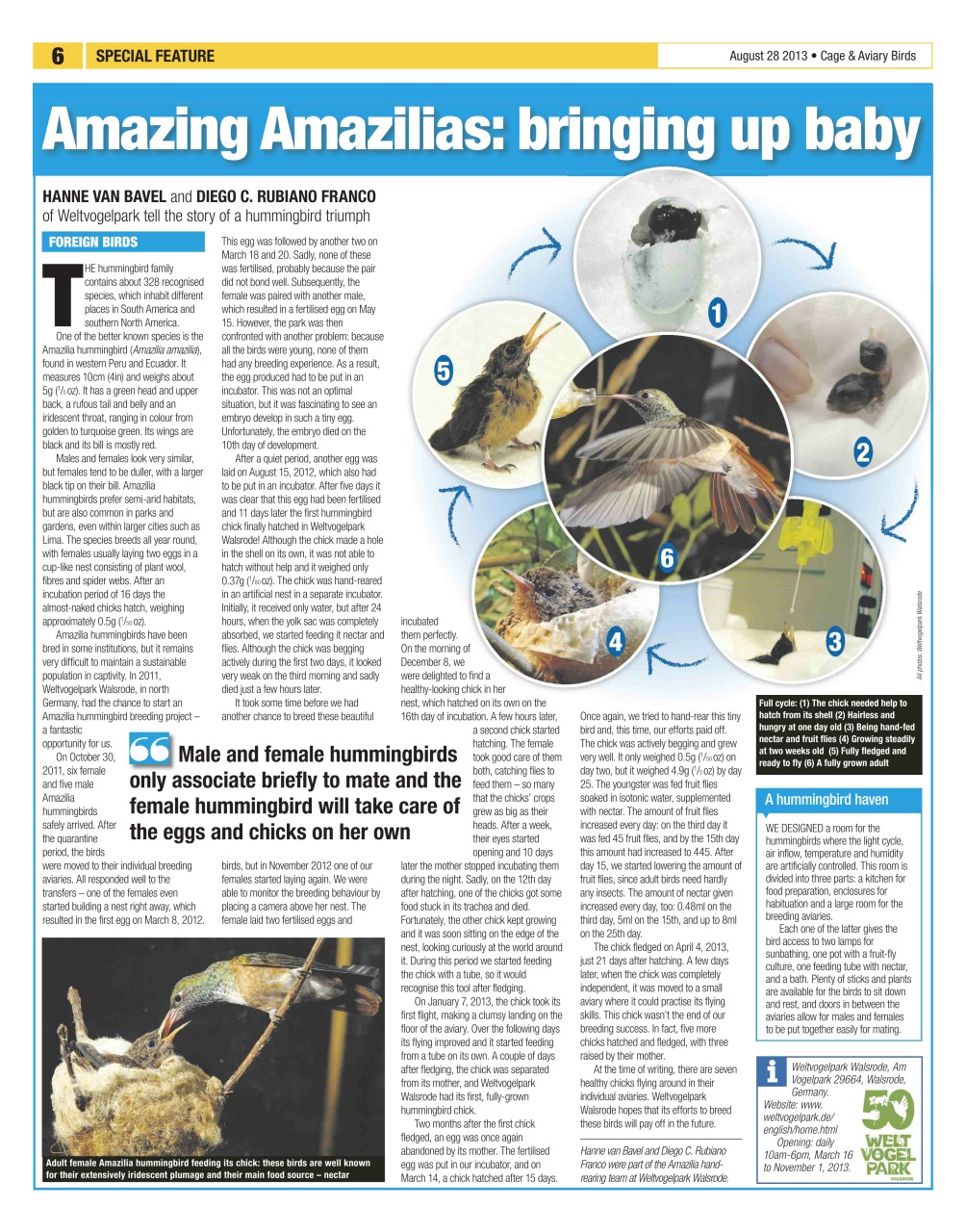 Cage & Aviary Birds Preview Pages