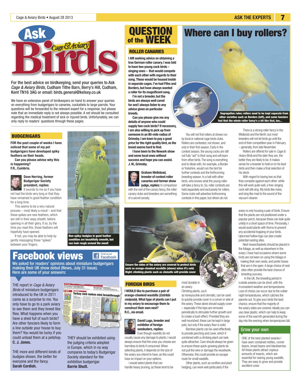 Cage & Aviary Birds Preview Pages