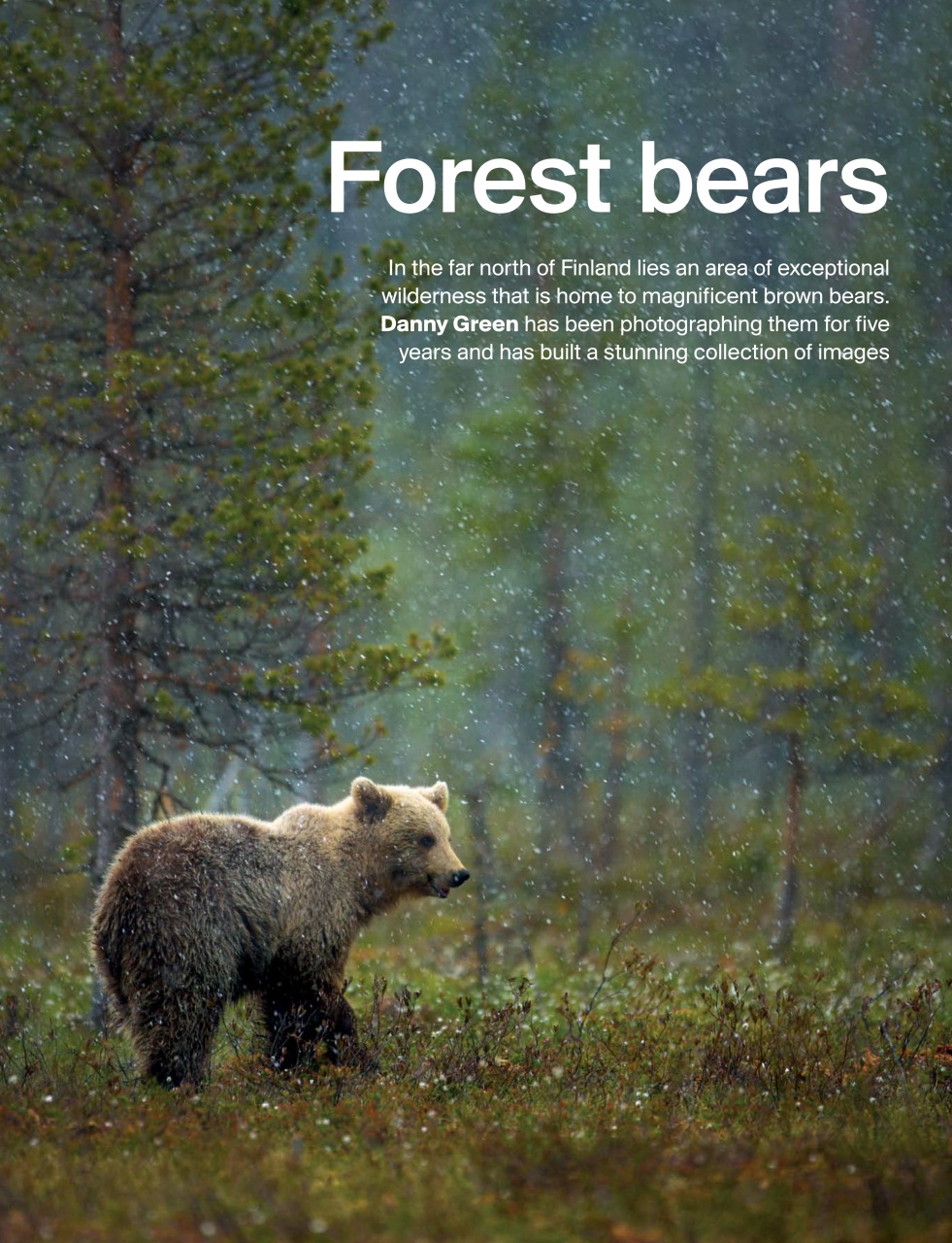 Outdoor Photography Preview Pages