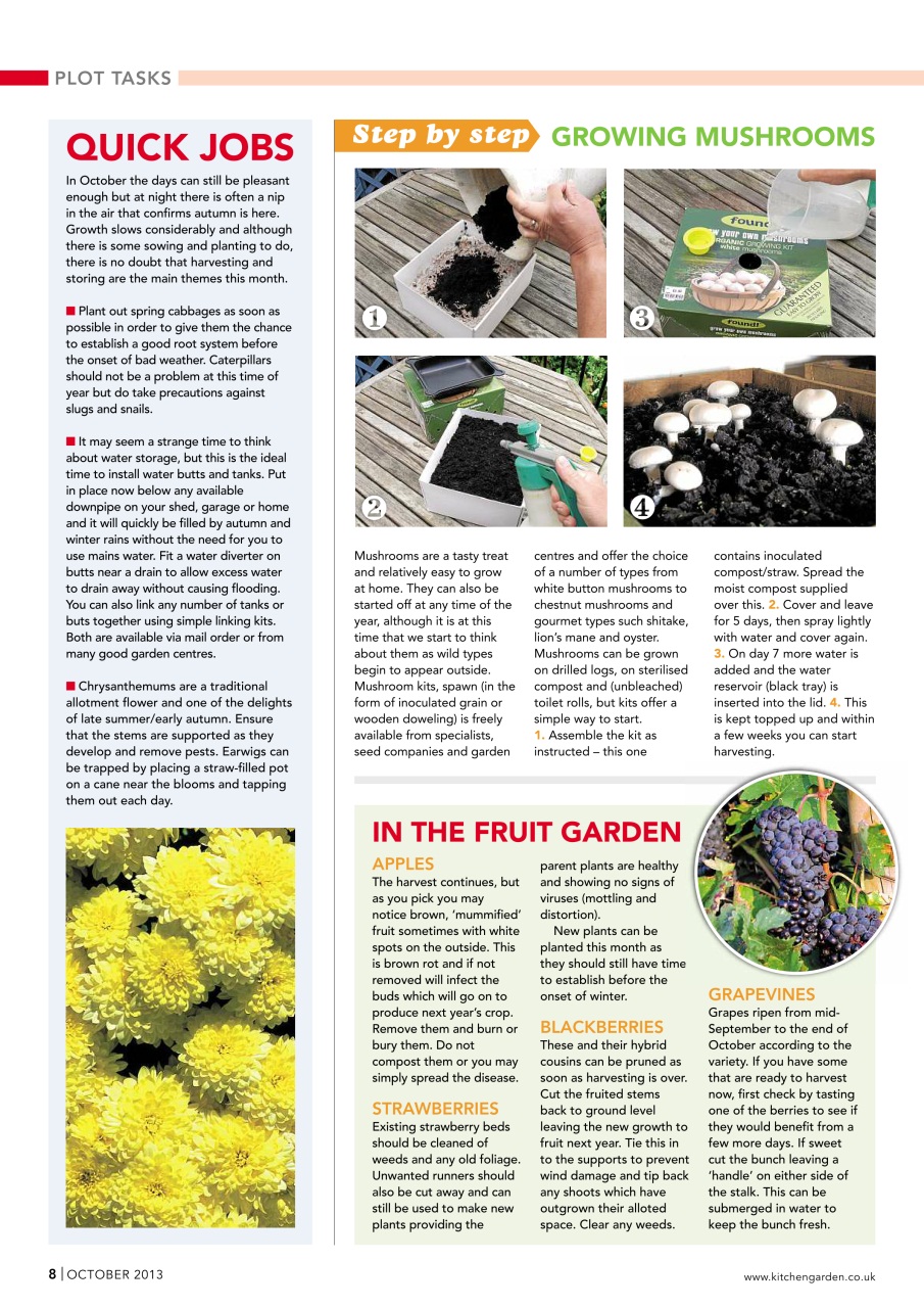 Kitchen Garden Magazine Preview Pages