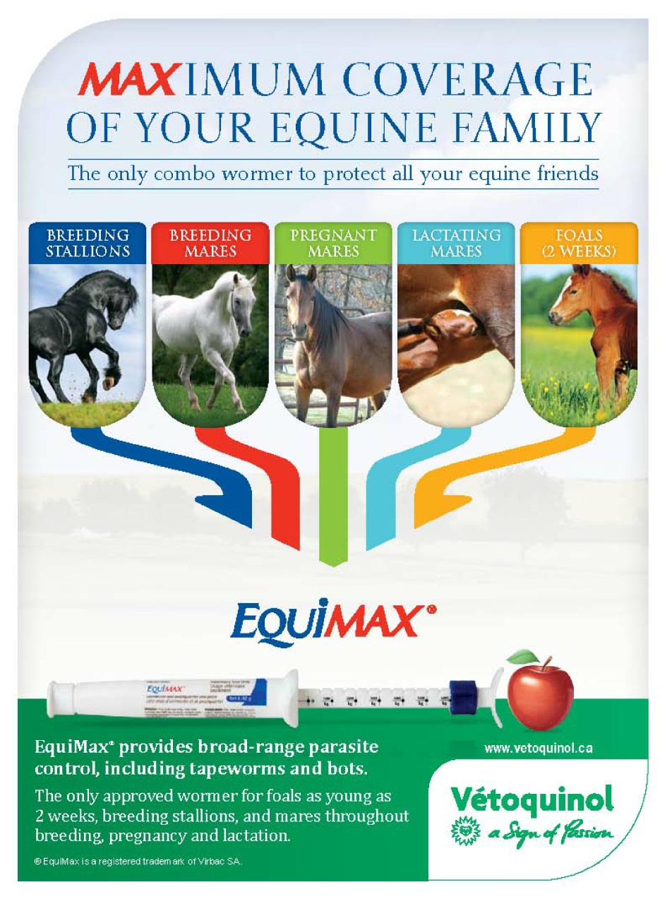 Western Horse Review Preview Pages