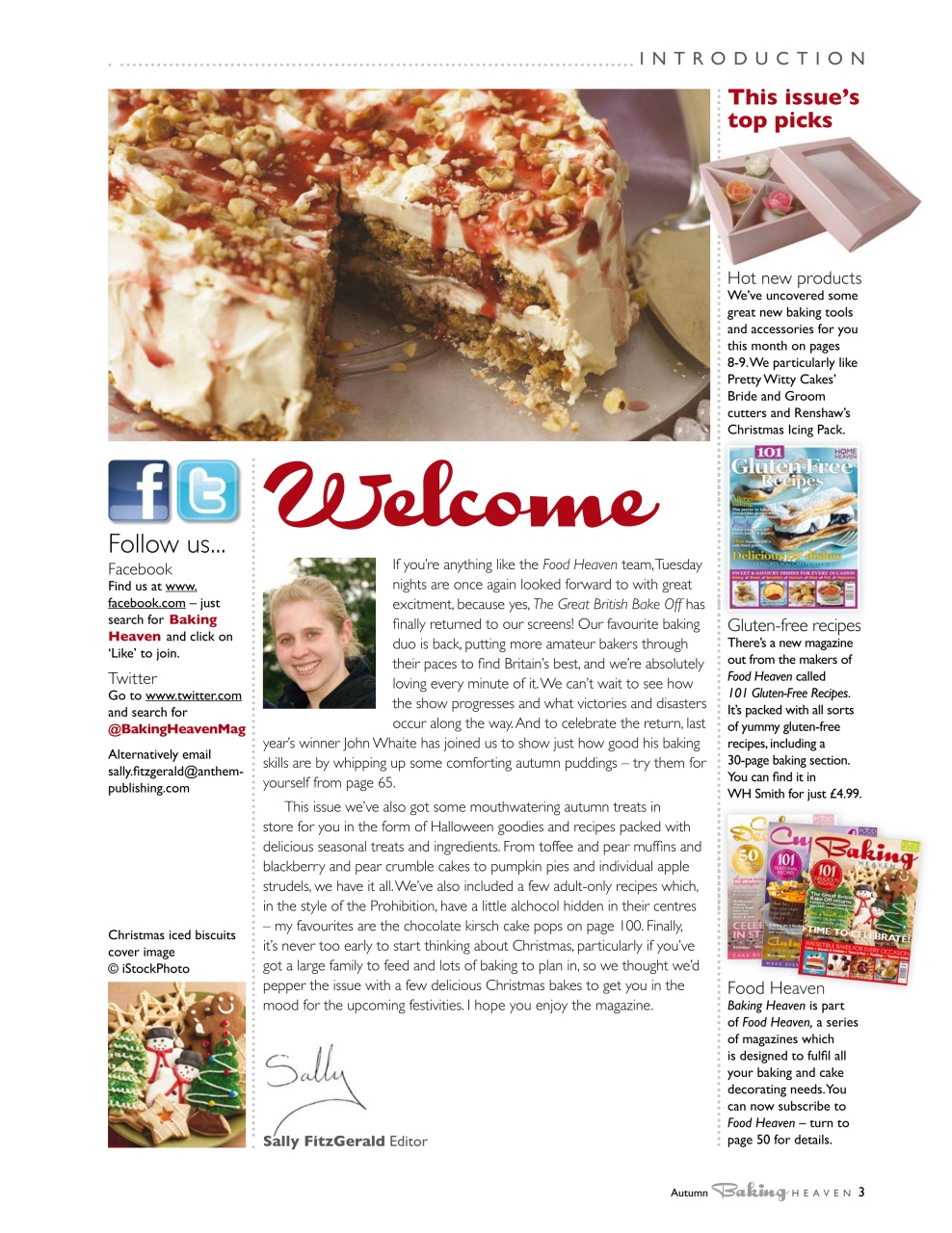 Bake & Decorate Preview Pages