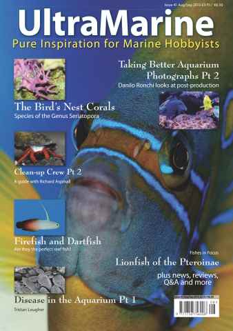 UltraMarine Magazine issue Issue 41