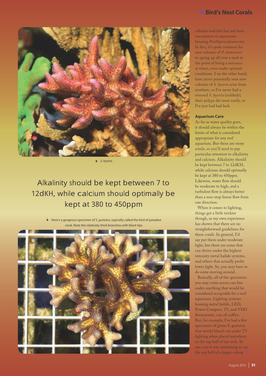 UltraMarine Magazine Preview Pages