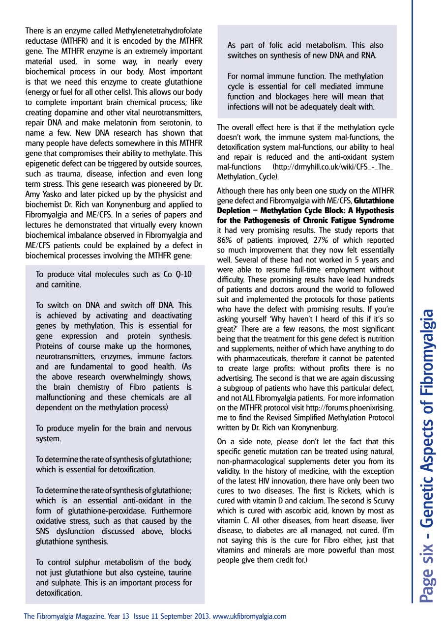 Fibromyalgia Magazine Preview Pages