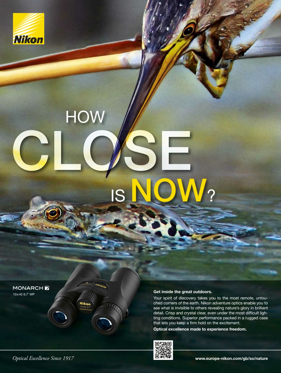 BBC Wildlife Magazine Preview Pages