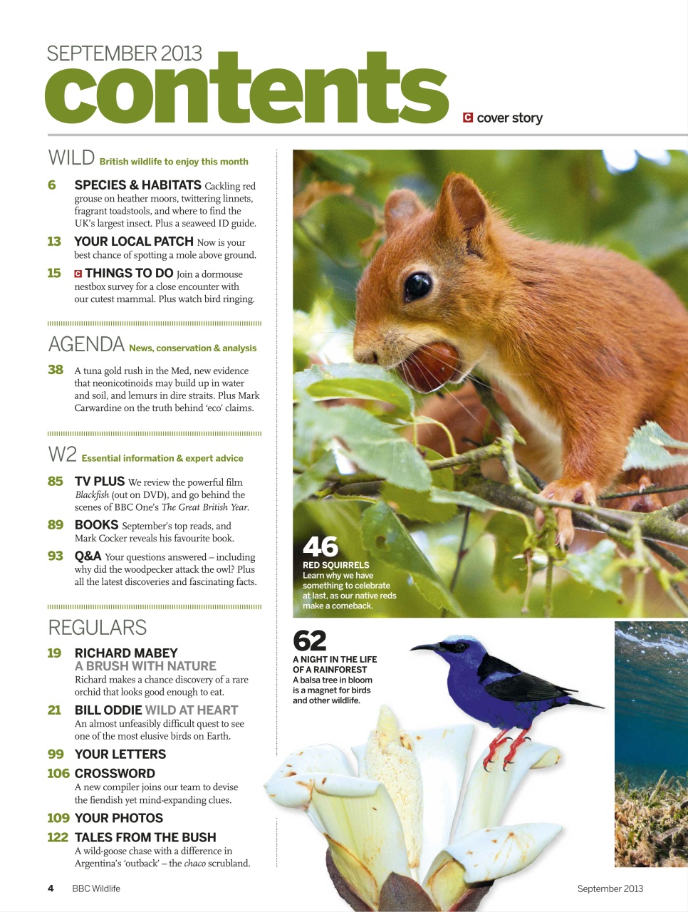 BBC Wildlife Magazine Preview Pages