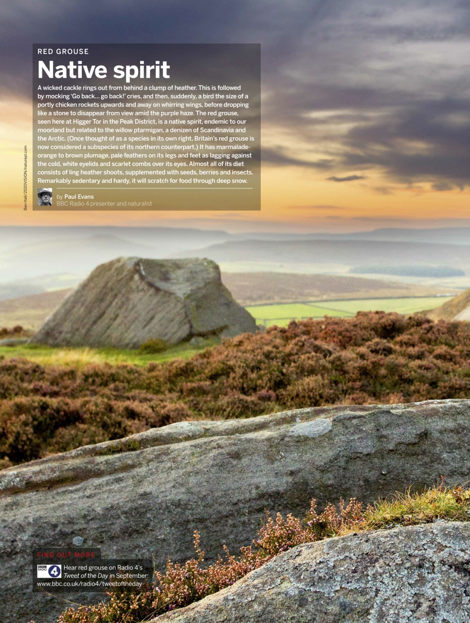 BBC Wildlife Magazine Preview Pages